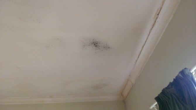 How To Get Rid Of Ceiling Mold After A Roof Leak Inscmagazine