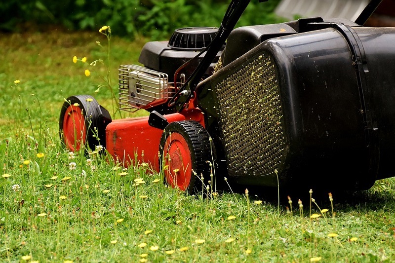 Lawn care services