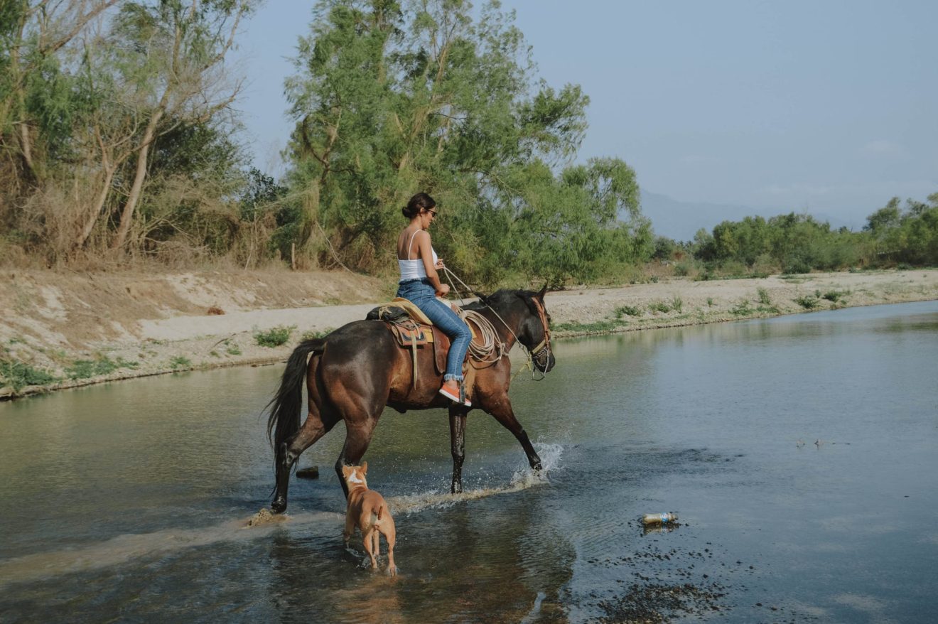 Horseback riding