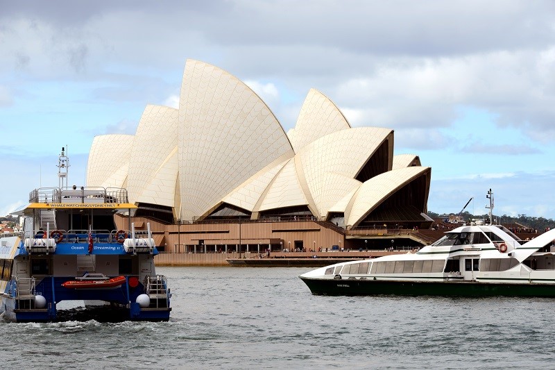  Sydney Harbor Charters