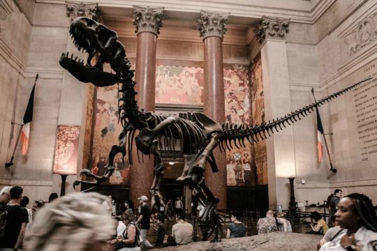dinosaur