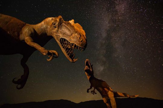 living dinosaur