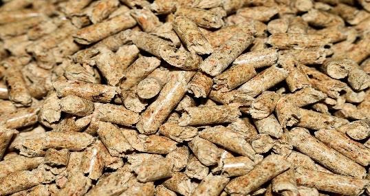 Biomass Waste
