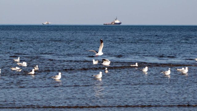 Coastal Places to Visit in Western Australia