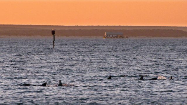 Coastal Places to Visit in Western Australia