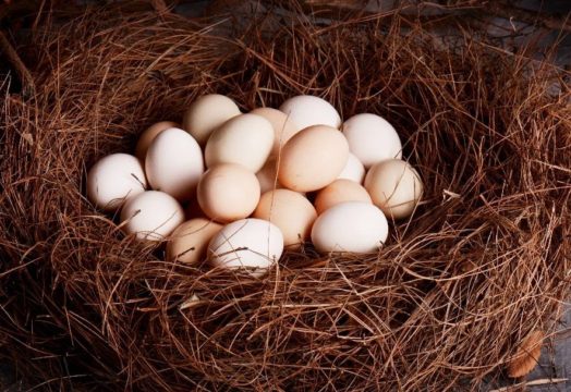 Whole Eggs