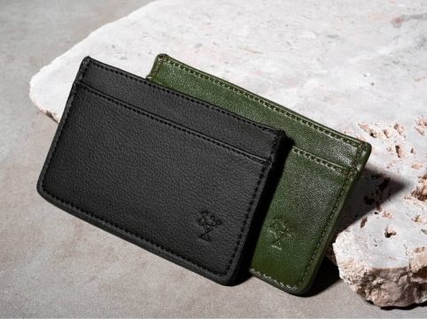 Cactus leather
