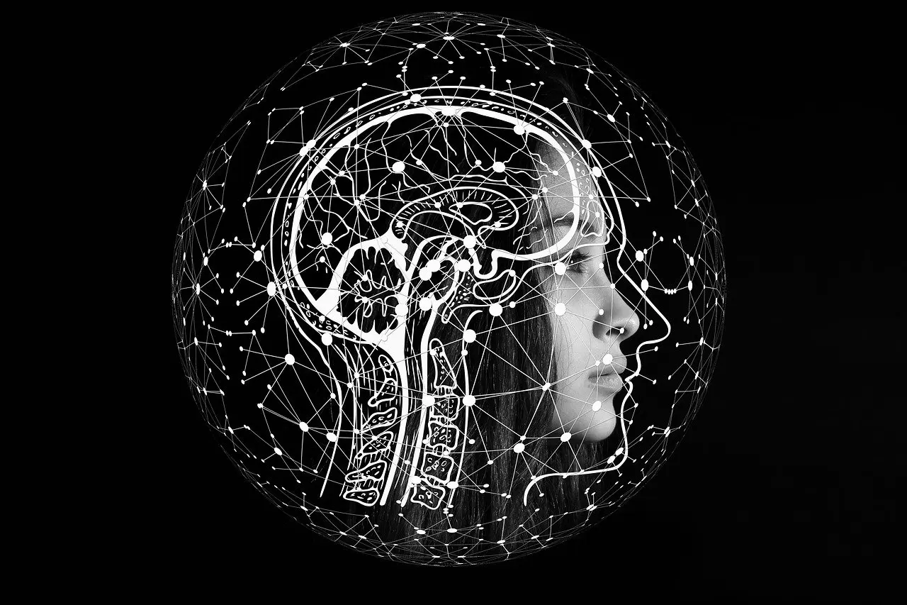 brain activity - INSCMagazine