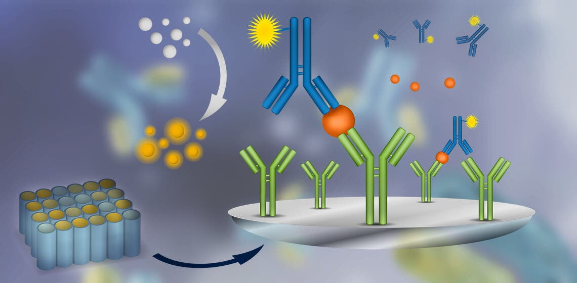 Sample Handling for ELISA Assay - INSCMagazine