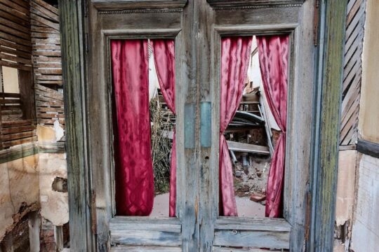 Rot And Decay