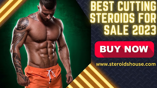 Best Cutting Steroids For Sale 2023 | Anabolic Steroids - INSCMagazine