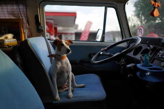 Car Seat