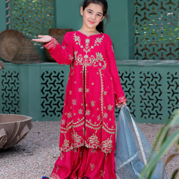 Rafia on sale pakistani dresses