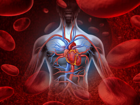 Improved Circulation of Blood