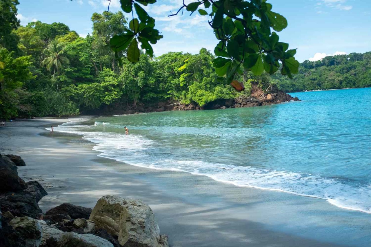 The Ultimate Guide to Wildlife Spotting in Manuel Antonio National Park ...