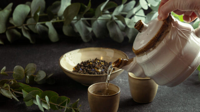Exploring Different Healing Teas and Their Benefits 