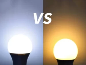 Cool White VS Daylight: Which Is Brighter? - INSCMagazine